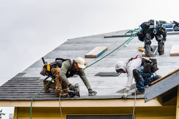 Professional Roof Replacement technician working in Jamesport, NY